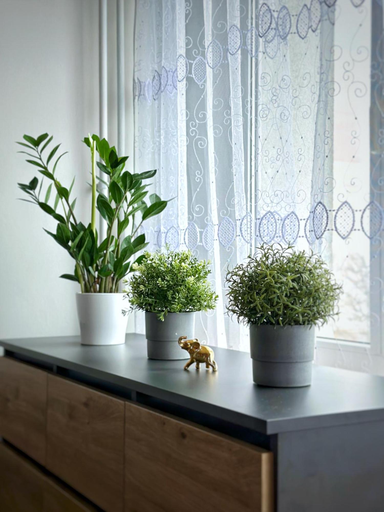 Apartament Na Stogach W Gdansku. Apartment Gdansk